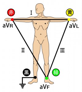 標準12誘導心電図 - 標準（双極）肢誘導と単極肢誘導