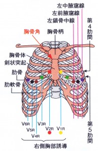 標準12誘導心電図 - 単極胸部誘導