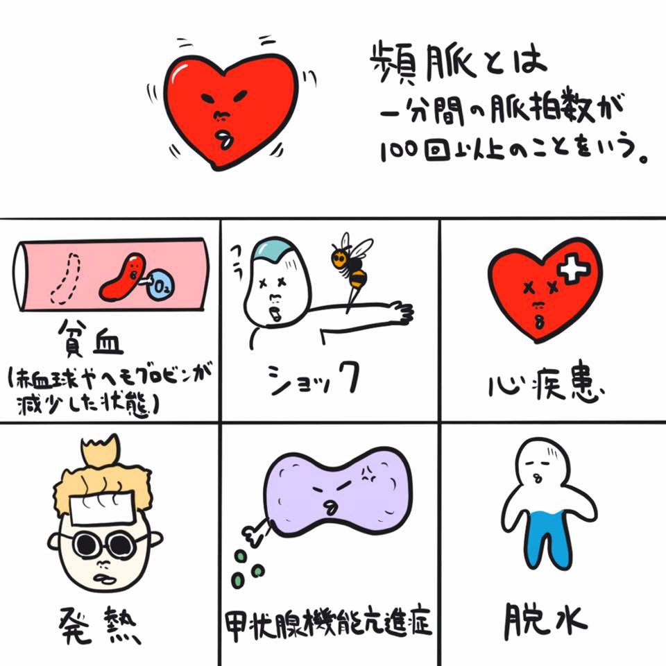 頻 脈 と は